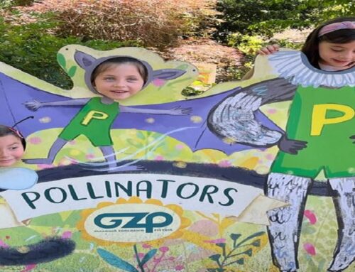 Puro divertimento e scoperte per i bambini allo Zoo di Pistoia immersi nella natura con i consigli di Parchitour e offerte per famiglie